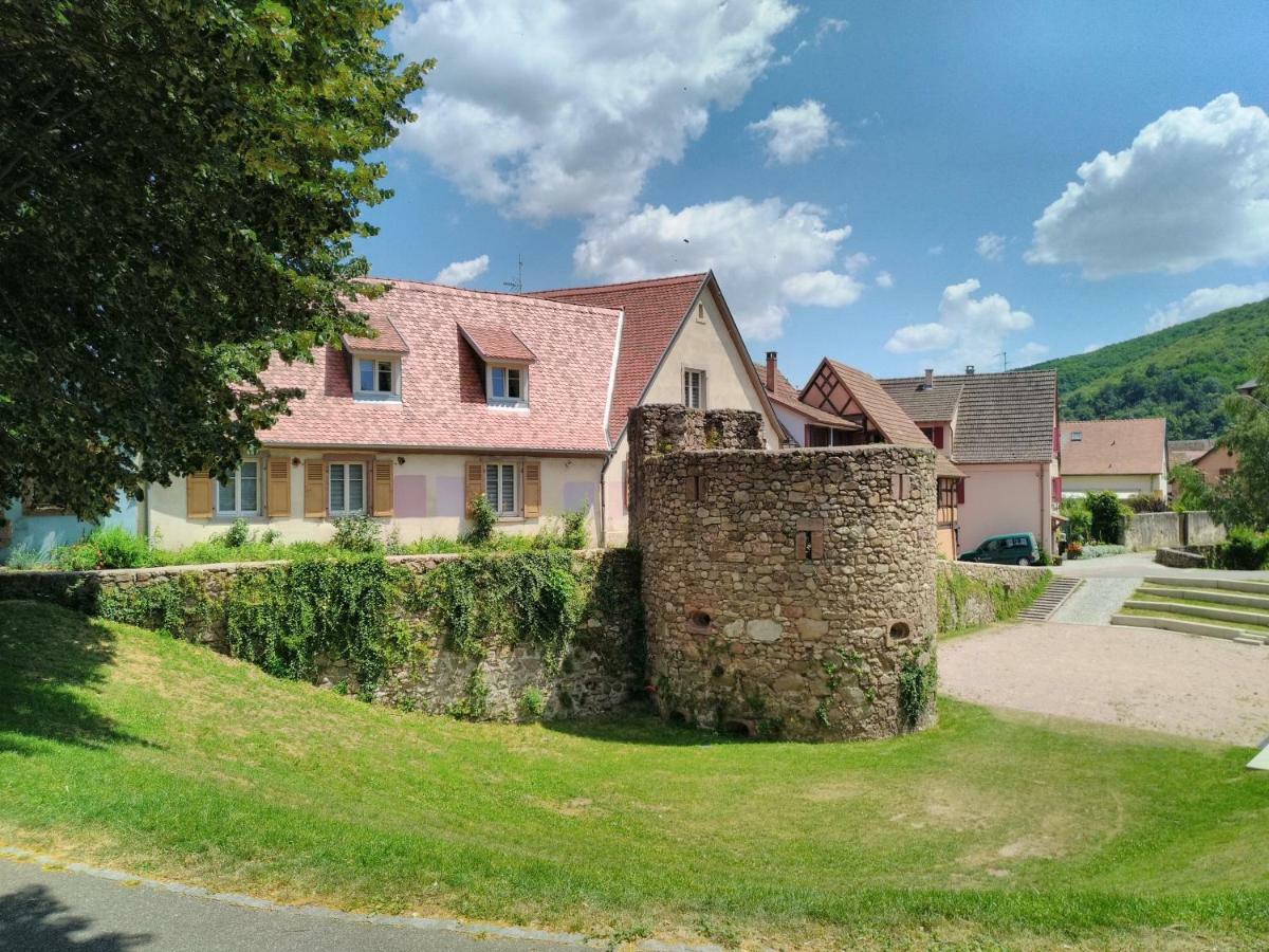 Appartamento La grande terrine Kaysersberg-Vignoble Esterno foto
