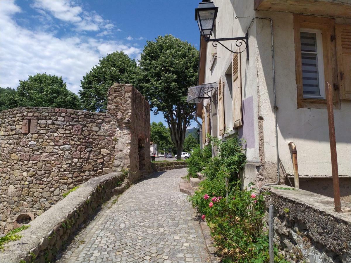 Appartamento La grande terrine Kaysersberg-Vignoble Esterno foto