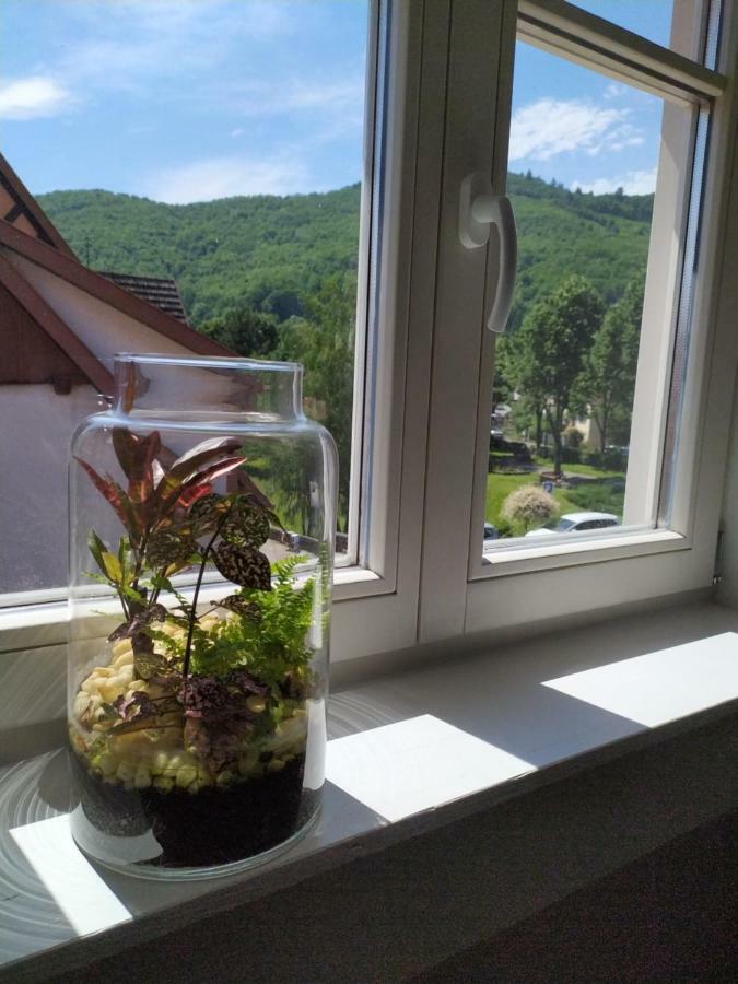 Appartamento La grande terrine Kaysersberg-Vignoble Esterno foto