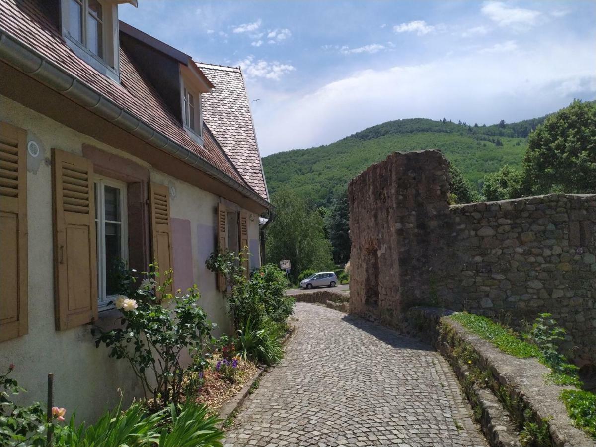 Appartamento La grande terrine Kaysersberg-Vignoble Esterno foto