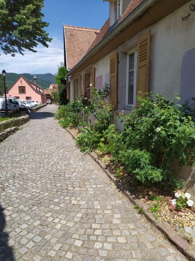 Appartamento La grande terrine Kaysersberg-Vignoble Esterno foto